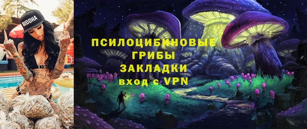 героин Алексин