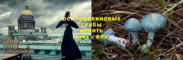 героин Алексин